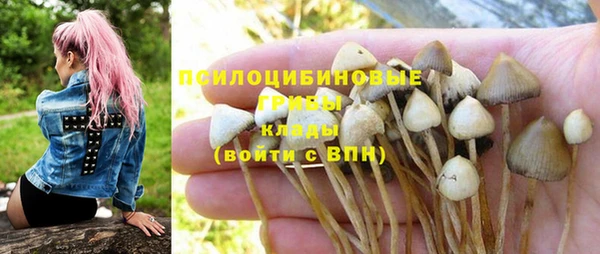 экстази Гусиноозёрск