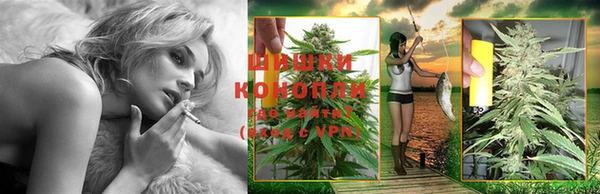 гидра Вяземский