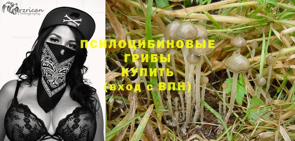 экстази Гусиноозёрск