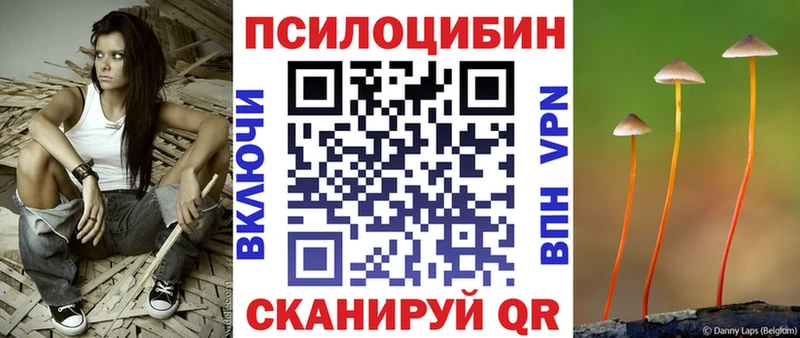 Купить где  Кириши  Галлюциногенные грибы Psilocybine cubensis 